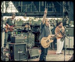 lockn-whb2